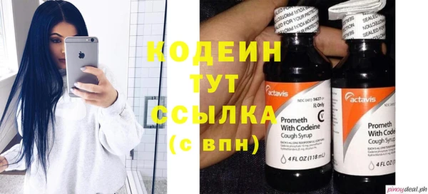 крисы Тавда