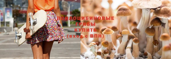 крисы Тавда