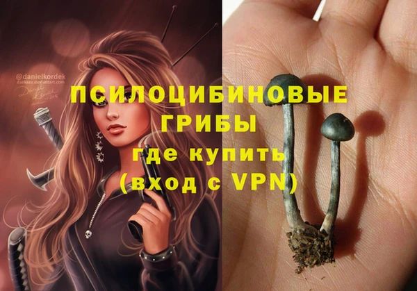 крисы Тавда