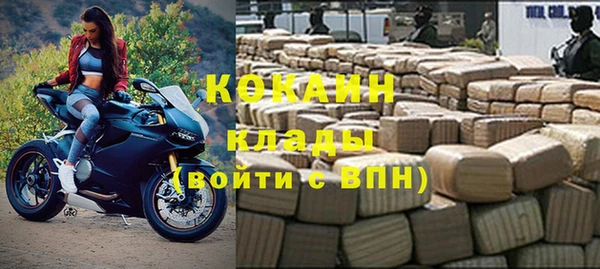 крисы Тавда
