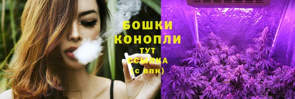 крисы Тавда