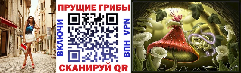 Галлюциногенные грибы прущие грибы  ОМГ ОМГ как зайти  Змеиногорск  наркотики 
